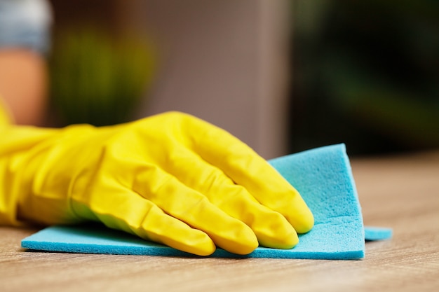 Close Up cleaning company worker hand holding sponge