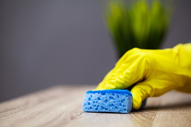 Close Up cleaning company worker hand holding sponge