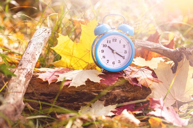 Foto prossimo piano dell'orologio sulle foglie d'autunno