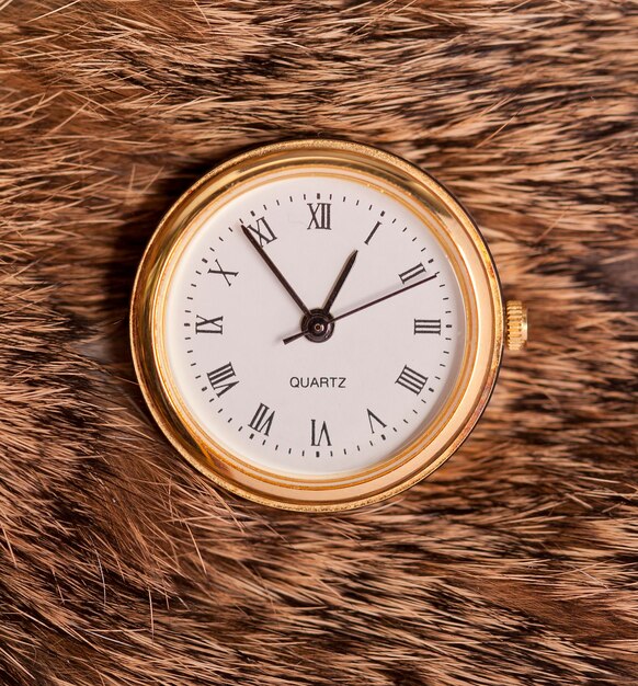 Photo close-up of clock on fur