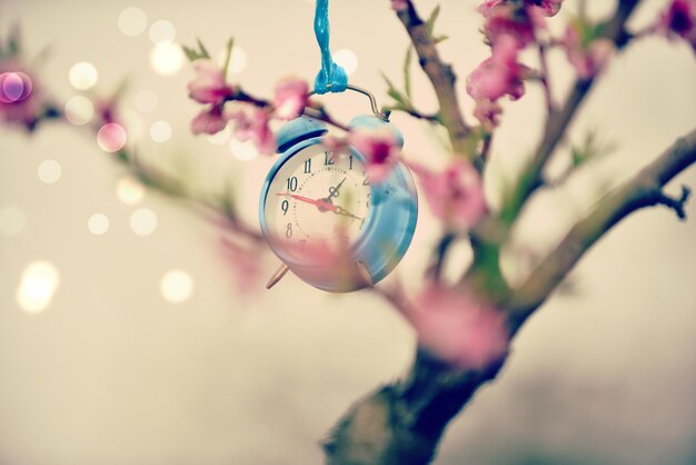 Photo close-up of clock hanging on tree