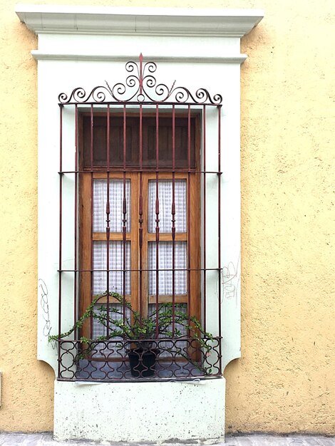 Close-up of closed window of house