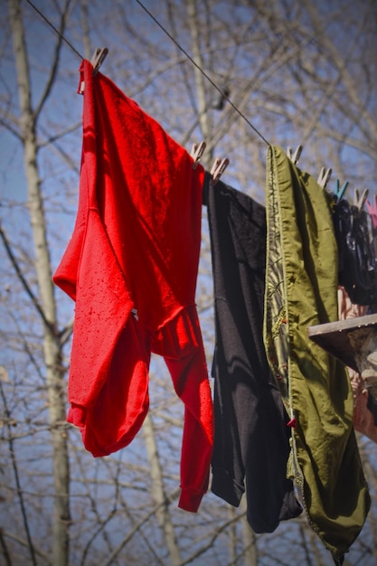 Photo close-up of clothes drying on dry leaves