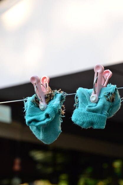 Close-up of clothes hanging on clothesline