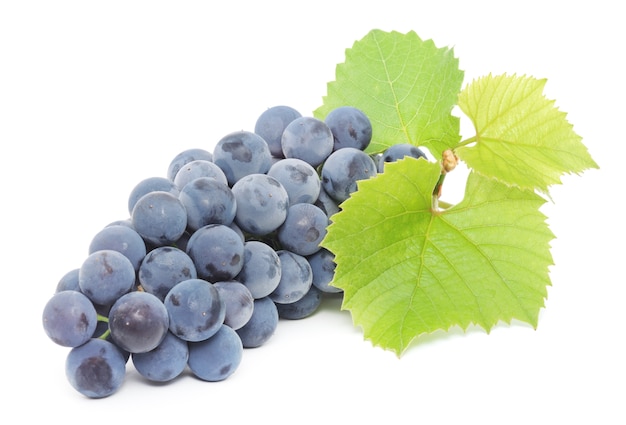 Close up cluster of blue grape with green leaves