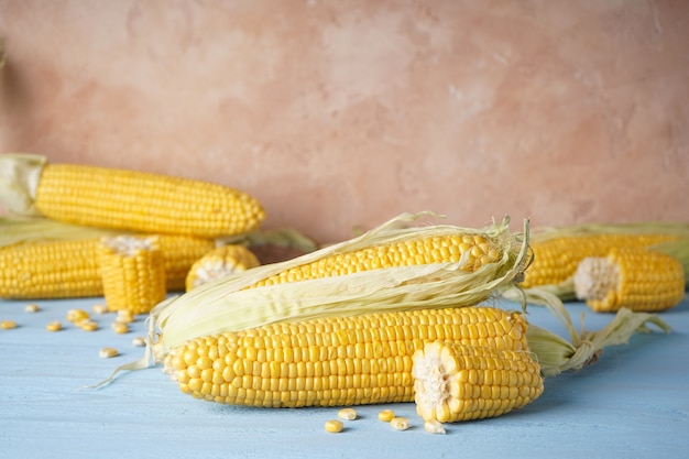 Close-up of cobs of ripe raw corn