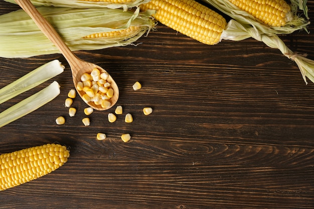 Close-up of cobs of ripe raw corn