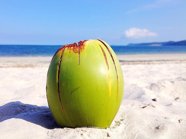 Close-up of coconut at beach