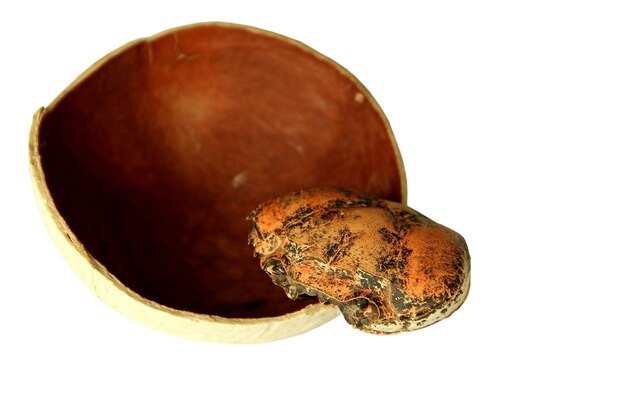 Close up of coconut shell over white background