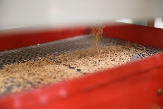 Close-up of coffee beans on table