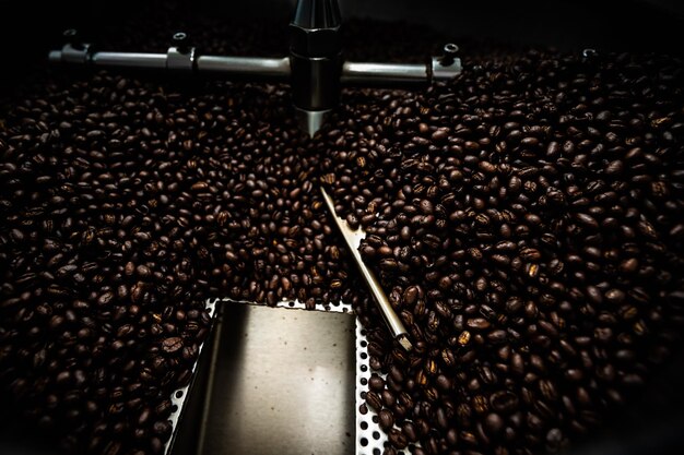 Photo close-up of coffee beans