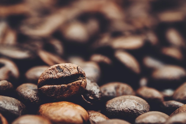 Foto prossimo piano dei chicchi di caffè