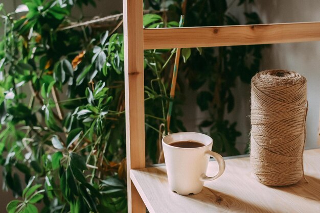 Close-up of coffee cup on shelf by plant