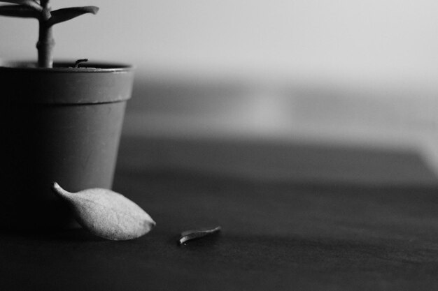 Photo close-up of coffee cup on table