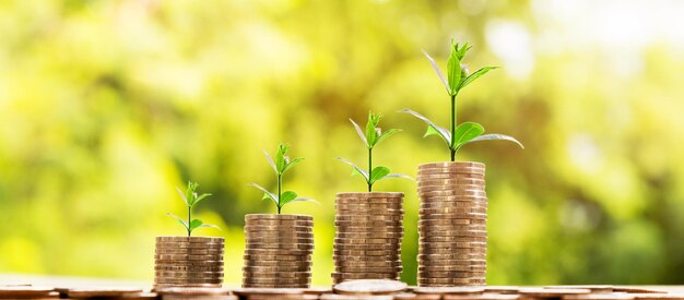 Close-up of coins and plants on table