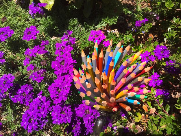 Close-up of colored pencils in jar amidst flowers