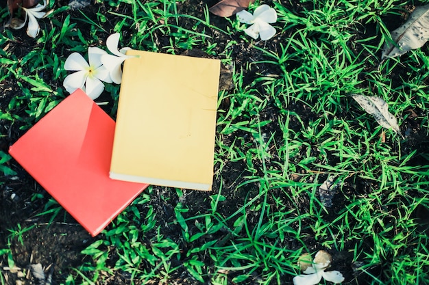 Photo close-up colorful books put on green grass in campus.