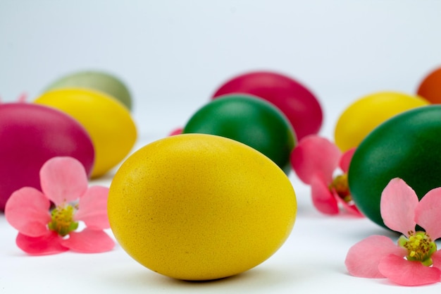 Close-up of colorful easter eggs with flowers against white background