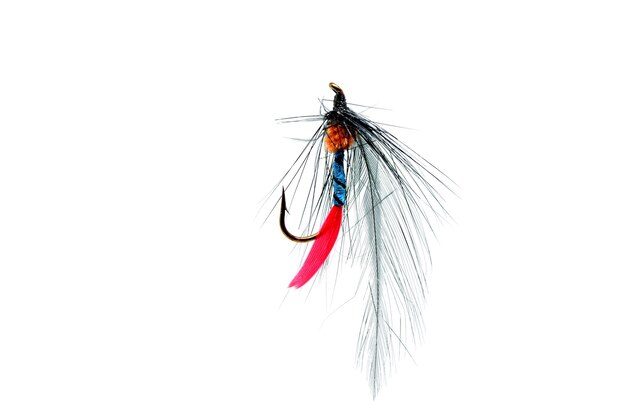 Close-up of a colorful fishing fly on white.