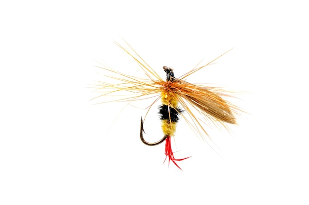 Close-up of a colorful fishing fly on white.