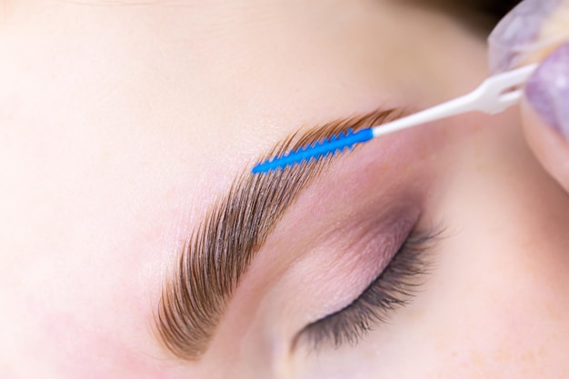 Close-up of the completed procedure, the master combs the model's eyebrow with a micro brush after lamination