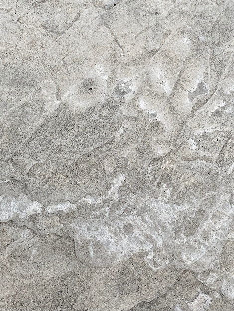 a close up of a concrete wall with a pattern of a leaf.