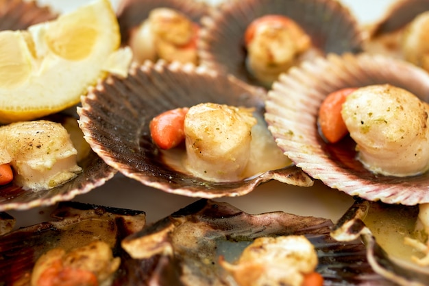 Close-up of cooked scallops on white plate.