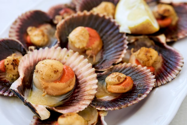 Close-up of cooked scallops on white plate.