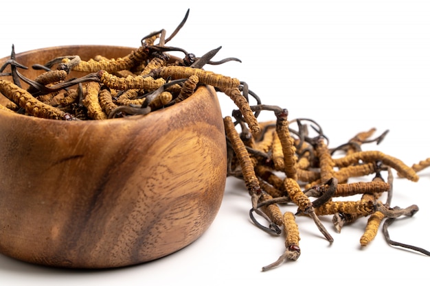 Close-up Cordycep sinensis (CHONG CAO) of paddestoel cordyceps op houten kom