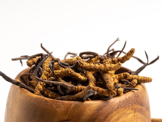 Close up Cordycep sinensis or mushroom cordyceps on Wooden bowl