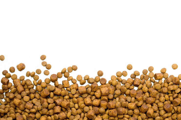 Photo close-up of corn against white background