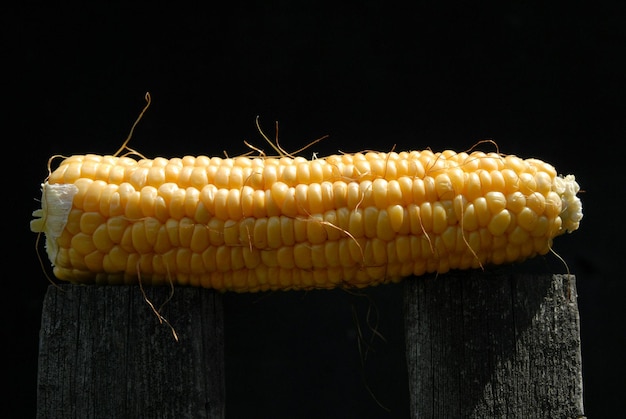 Photo close-up of corn over black background