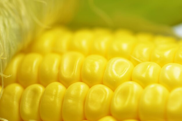 Close-up of corn on the cob