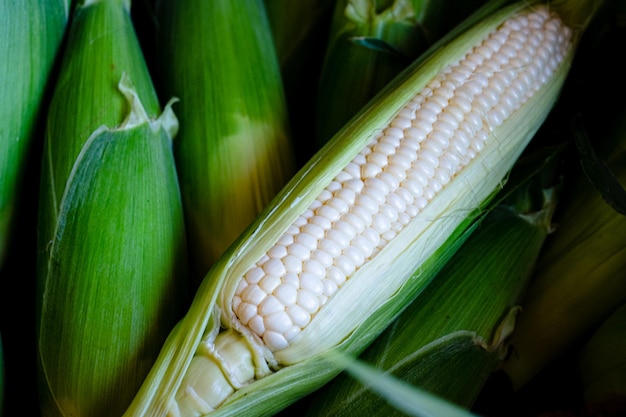 A close up of a corn cob