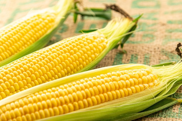 Close-up of corn on plant