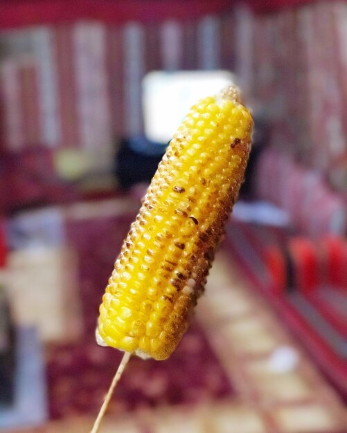 Photo close-up of corn