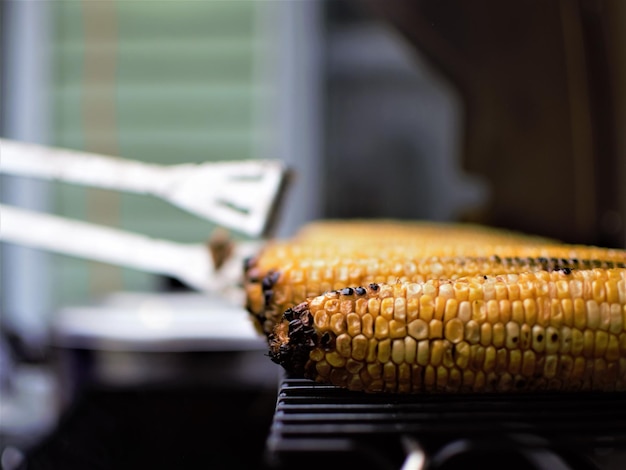 Photo close-up of corn