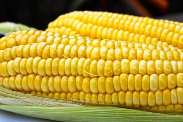 Close-up of corn