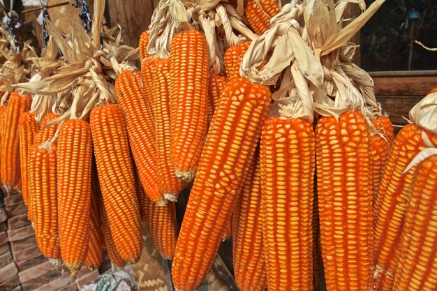 Close-up of corns for sale in market