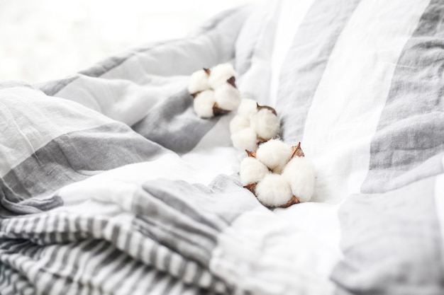 Close up on cotton flowers details