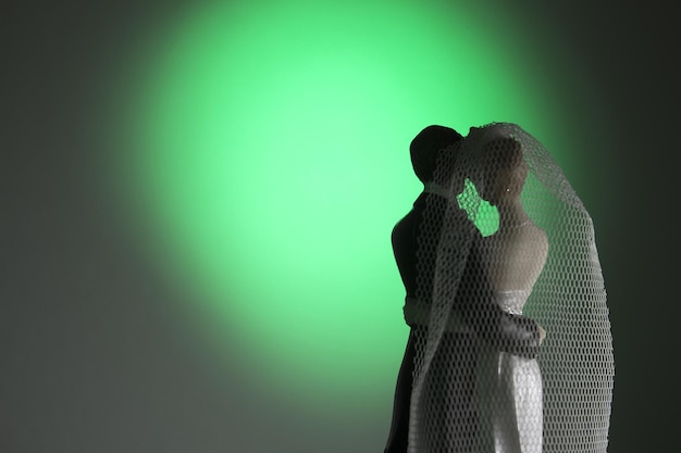 close-up of couple figurine