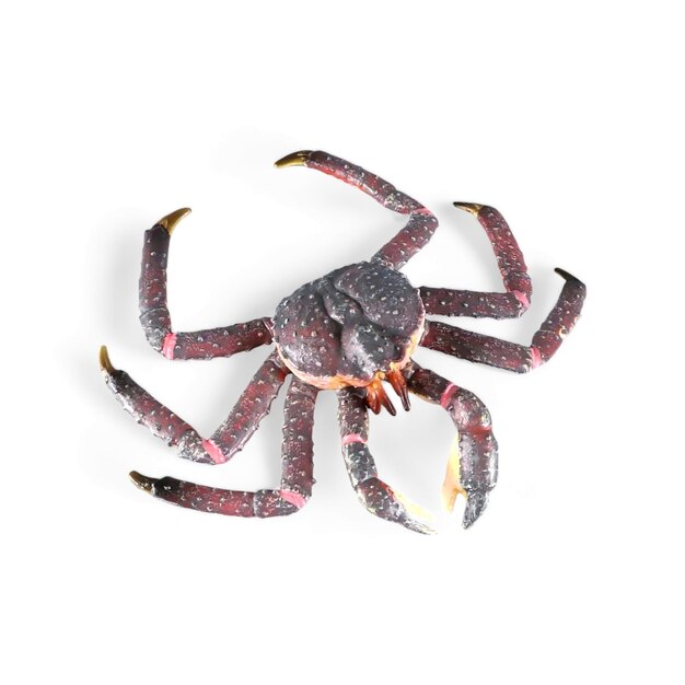 Photo close-up of crab against white background