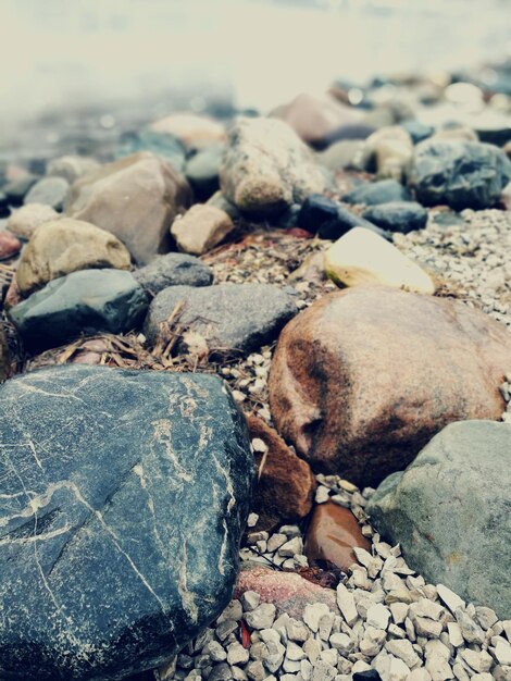 Close-up of crab on pebbles at beach