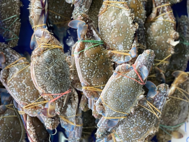 Foto close-up di un granchio in vendita al mercato