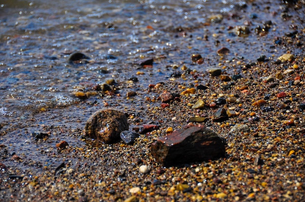 Photo close-up of crab on sand