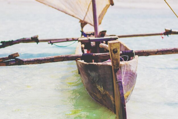 Foto close-up di un granchio legato a una barca