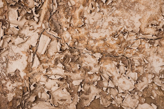 Close up of crack soil and desert in dry season textures hot summer Texture of sunny dried earth