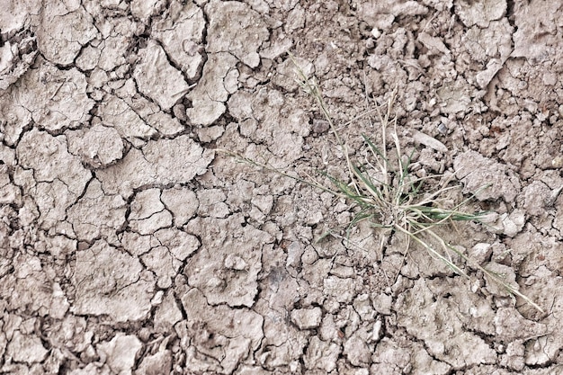 Close-up of cracked field