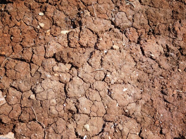 Close-up of cracked field