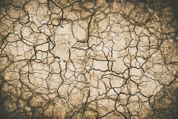 Photo close-up of cracked land